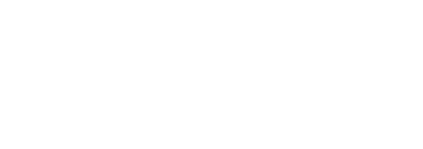 BEYLER GROUP INTERNATIONAL